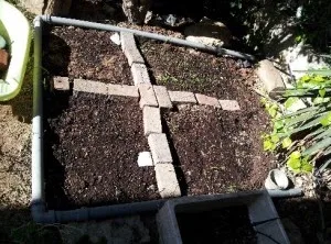ערוגה מדושנת בהומוס