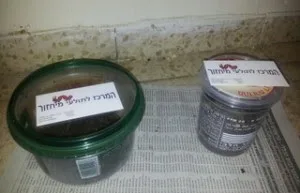 קופסאות פלסטיק עם תולעים ומצע, מוכנות למשלוח